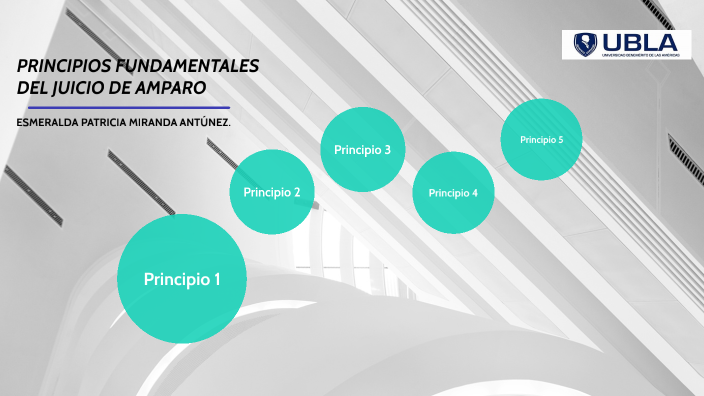 PRINCIPIOS FUNDAMENTALES DEL JUICIO DE AMPARO by Esmeralda Patricia ...