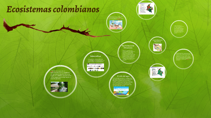 Ecosistemas colombianos by Gabriel valera martinez on Prezi