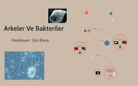 Arkeler Ve Bakteriler by Can Ersoy