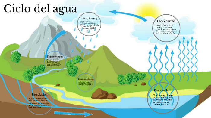 Ciclo del agua by Kevin Libreros Castillo on Prezi