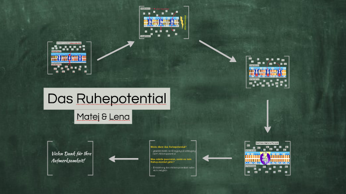 Das Ruhepotential by Matej Bradaric on Prezi