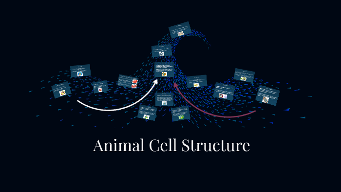 Animal Cell Structure by Konley Kestner on Prezi