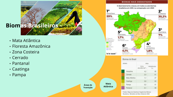 Biomas Brasileiros by Michele Santos on Prezi