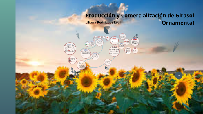 El proyecto de producción y comercialización de girasoles en by LIZY CRUZ  LEAL on Prezi Next