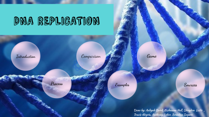 DNA Replication by Aaliyah Baird on Prezi