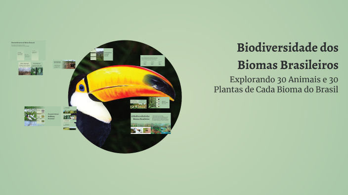 Biodiversidade dos Biomas Brasileiros by Grasiele Gomes on Prezi