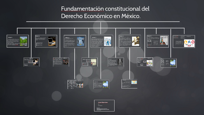 Fundamentación constitucional del Derecho Económico en Méxic by Ivonne