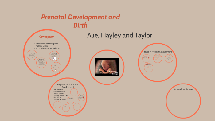 Prenatal Development And Birth by on Prezi