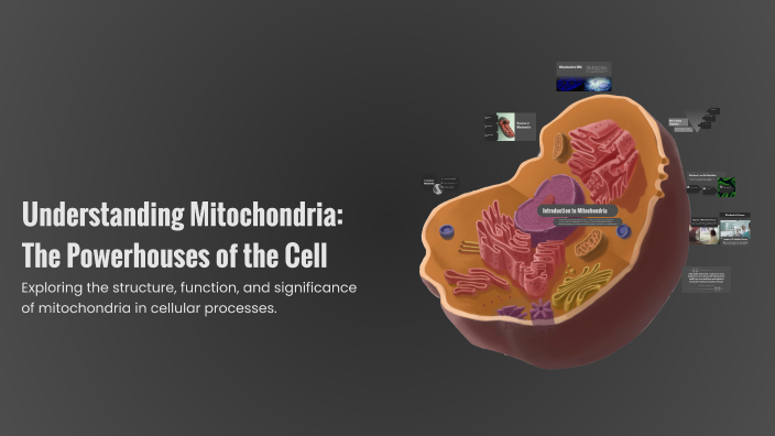 Understanding Mitochondria: The Powerhouses of the Cell by Kristina ...