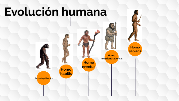 Evolución humana by Rubén Sánchez García on Prezi