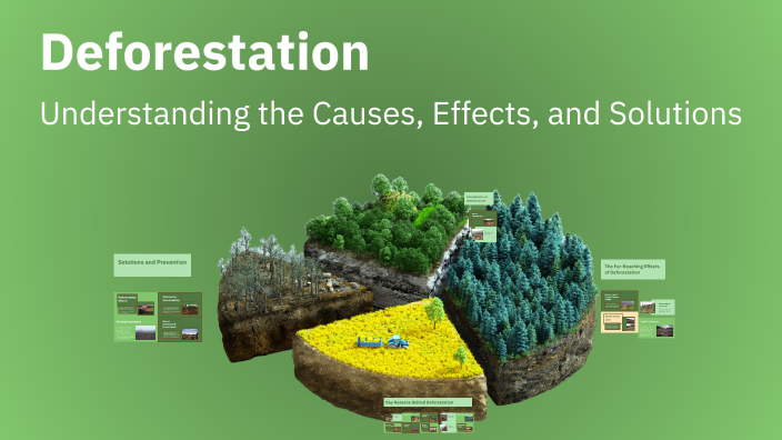 Deforestation by Shivendra Singh on Prezi