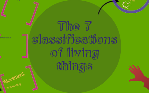 what are the 7 classifications of living things with examples