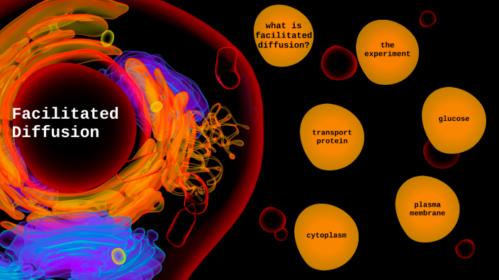 Facilitated Diffusion By No Name