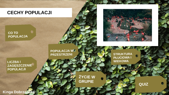 cechy populacji by Kinga D on Prezi