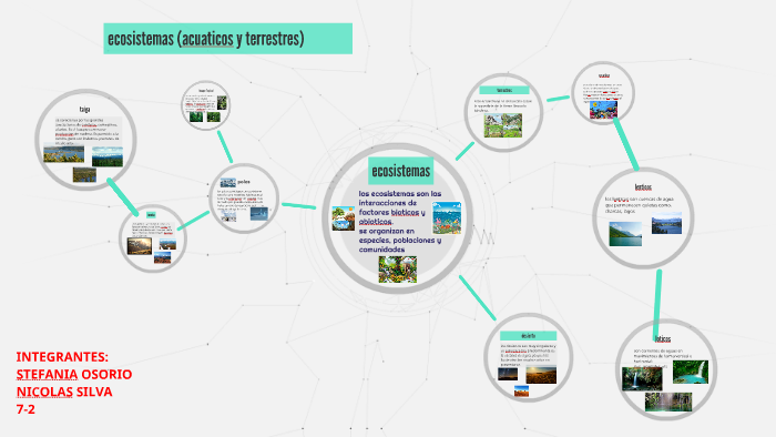 ecosistemas by stefania osorio on Prezi