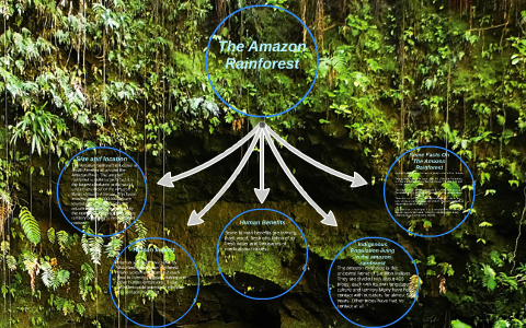 The Amazon Rainforest by Ben Lewis on Prezi