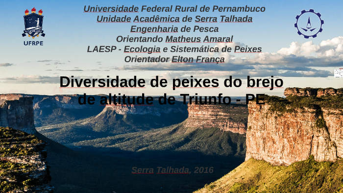Diversidade de peixes do brejo de altitude de Triunfo - PE by Matheus ...