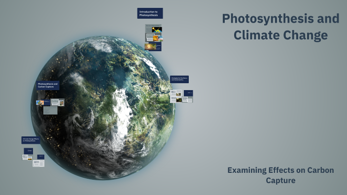 Photosynthesis and Climate Change by Easy shop on Prezi
