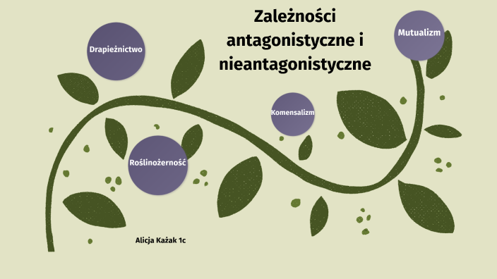 zależności antagonistyczne i nieantagonistyczne by Alicja on Prezi