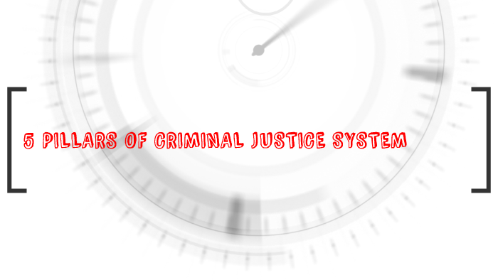 5-pillars-of-criminal-justice-system-by-maya-santos