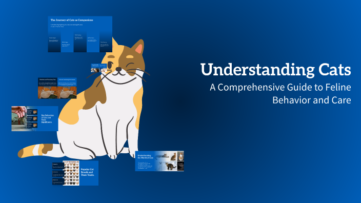 Understanding Cats by lieke Kapaan on Prezi