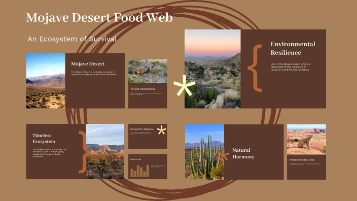 Mojave Desert Food Web by Jayden Dominguez [STUDENT] on Prezi