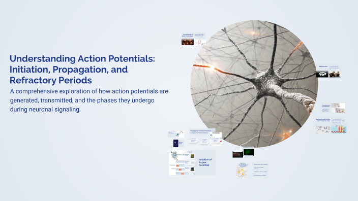 Understanding Action Potentials: Initiation, Propagation, and ...