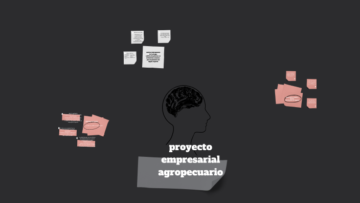 PROYECTO EMPRESARIAL AGROPECUARIO by derly arevalo on Prezi