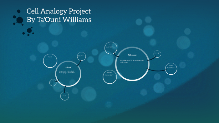 Cell Analogy Project By Taouni Williams On Prezi 2311