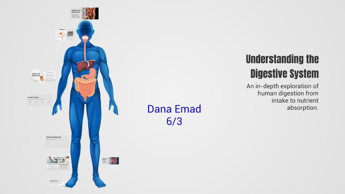 Understanding the Digestive System by ghada s on Prezi