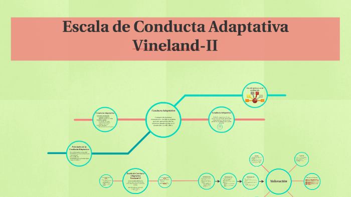 XLS) ESCALA DE CONDUCTA ADAPTATIVA DE VINELAND Christian, 49% OFF