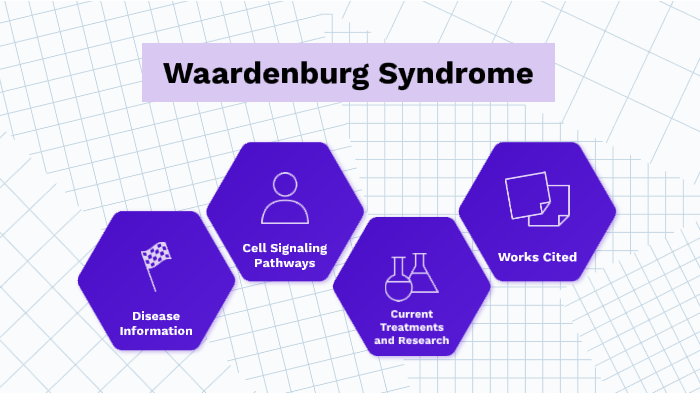 Waardenburg Syndrome By Madison Knudson