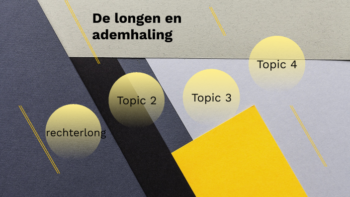 de longen en de ademhaling by Siemon Van Durme on Prezi