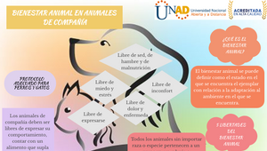 BIENESTAR ANIMAL EN ANIMALES DE COMPAÑÍA by Lorena Silgado on Prezi Design