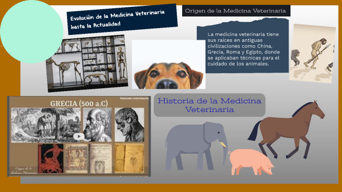 Historia de la Medicina Veterinaria by Marilyn Tituaña on Prezi