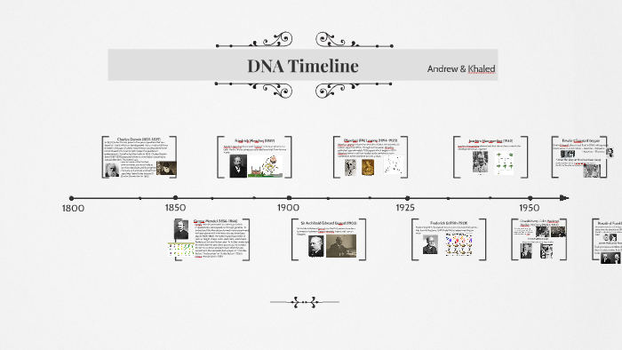 DNA Timeline by brinley gatt