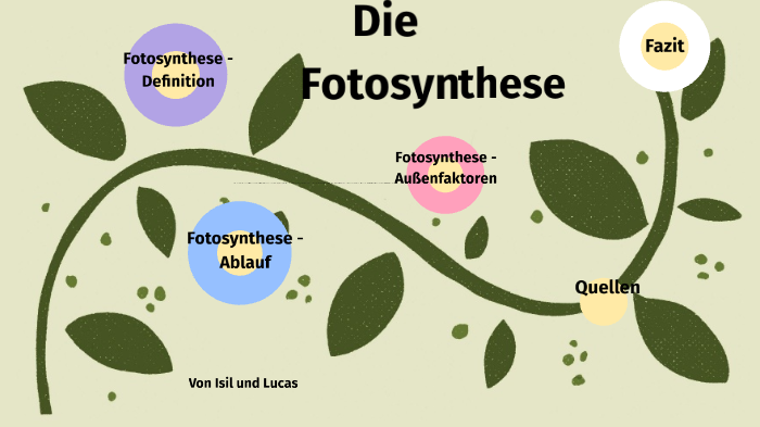 Die Fotosynthese by isil Yildirim on Prezi