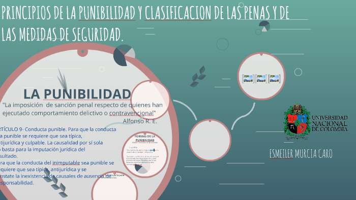 principios de la punibilidad, clasificacion de las penas y d by