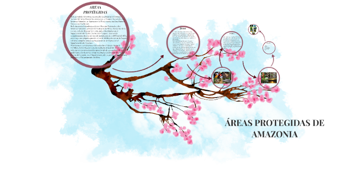 AREAS PROTEGIDAS DEL AMAZONA by laura castañeda on Prezi