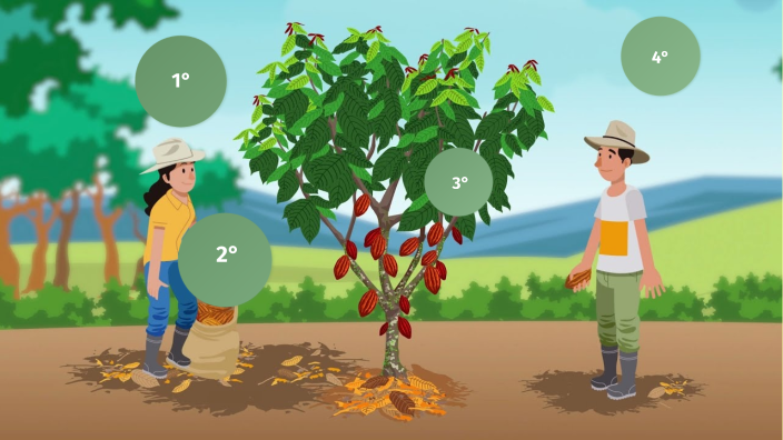 PROYECTO EMPRENDIMIENTO by Diana M on Prezi