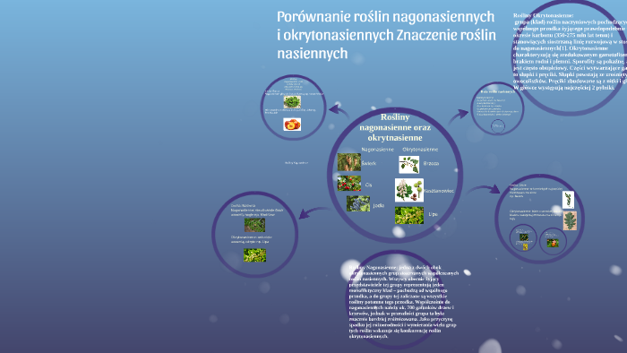 Porównanie roślin nagonasiennych i okrytonasiennych Znaczeni by James
