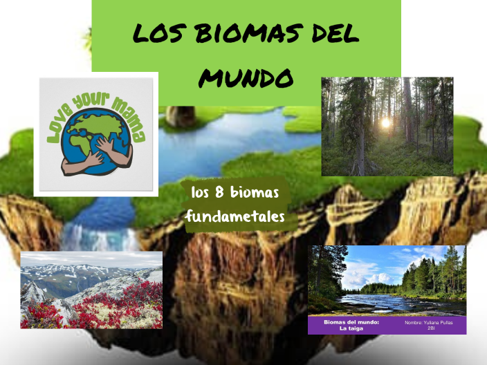 LOS BIOMAS DEL MUNDO by kevin muñoz on Prezi