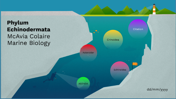 Phylum Echinodermata by McAvia Colaire on Prezi