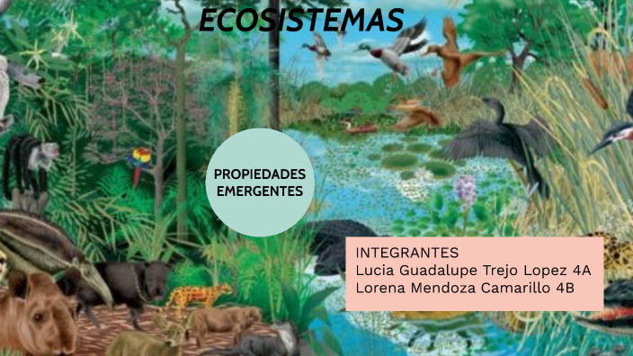 Ecosistemas by Lorena Mendoza Camarillo on Prezi