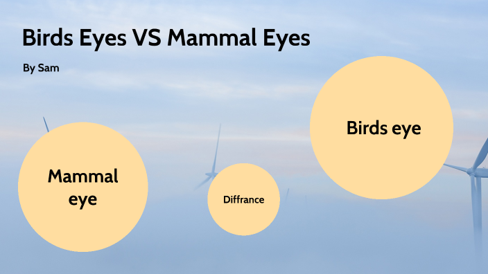Science Eyes Examples science eyes by samantha jesenovecc on Prezi