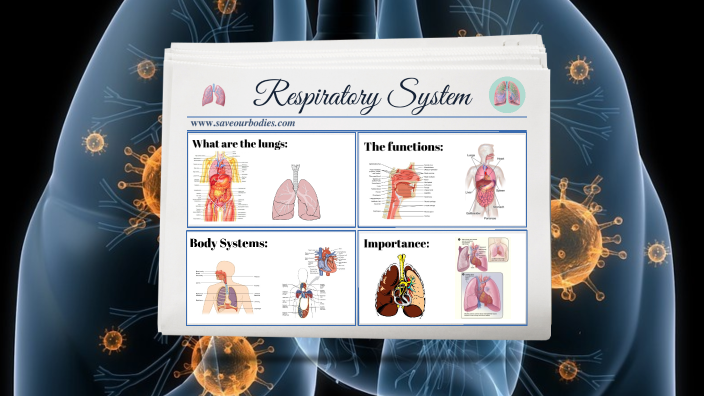 The Respiratory System by Priscilla Manickam-Seng on Prezi
