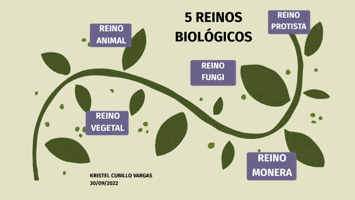 Cinco Reinos Biologicos by Kristel Cubillo Vargas on Prezi