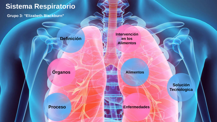 Sistema Respiratorio by AriMar JennValen on Prezi