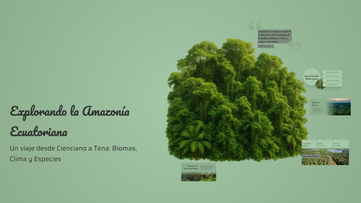 Explorando la Amazonía Ecuatoriana by Alvaro Montaña on Prezi