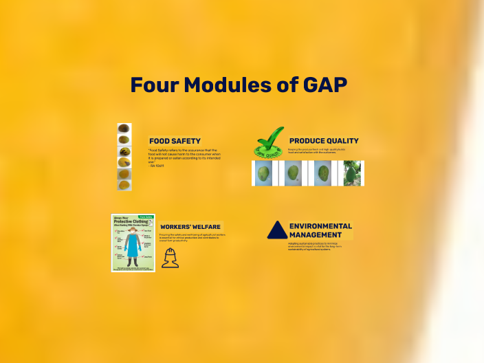 Code of Good Agricultural Practices for Mango by PPSSD Customer ...